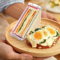 Magnetic Sandwich Crisper Container
